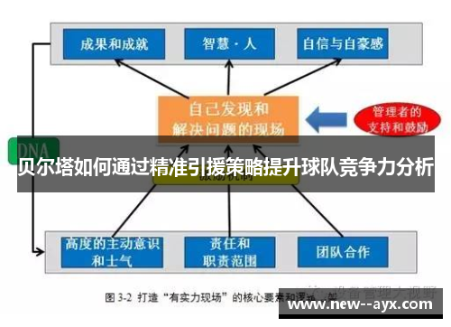 贝尔塔如何通过精准引援策略提升球队竞争力分析