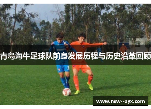 青岛海牛足球队前身发展历程与历史沿革回顾
