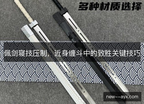 佩剑寝技压制，近身缠斗中的致胜关键技巧