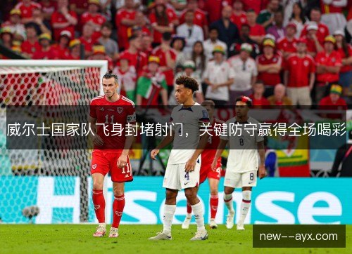 威尔士国家队飞身封堵射门,关键防守赢得全场喝彩 威尔士国家队飞身封堵射门,关键防守赢得全场喝彩